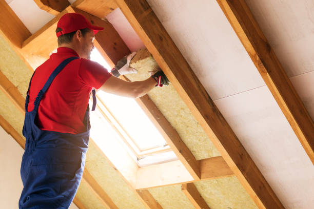 Types of Insulation We Offer in Halsey, OR